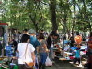 川越市伊佐沼公園・汽車ポッポ