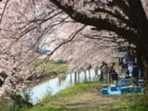 川越市伊佐沼公園・汽車ポッポ