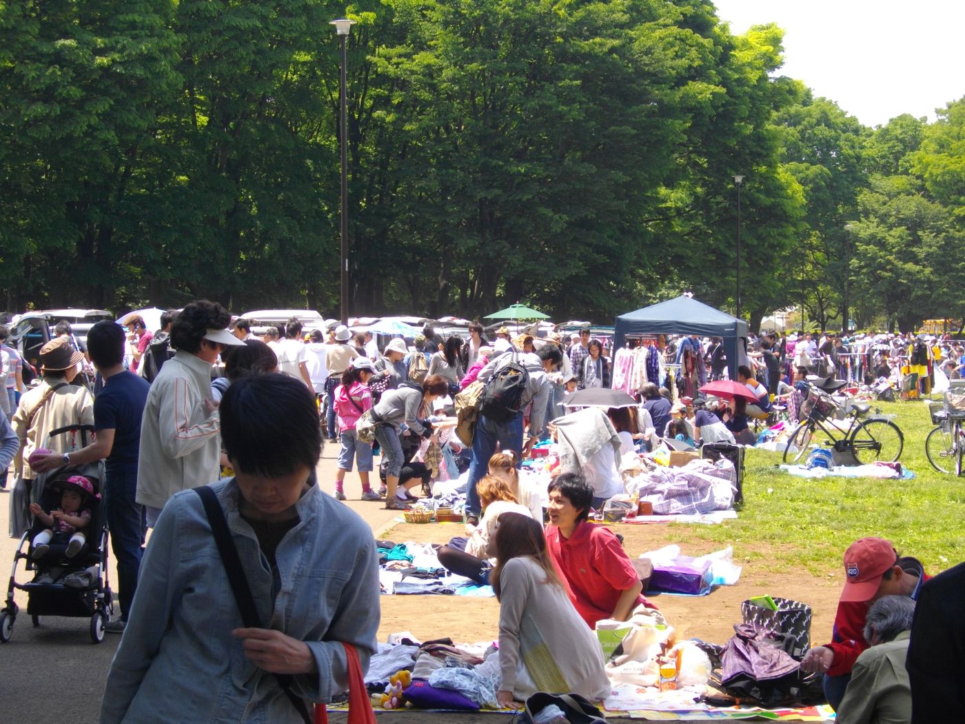 ◎◎「小金井公園」◎◎