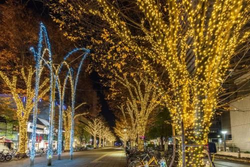 光が丘公園　光のペイジェントフェスタ　特別フリーマーケット