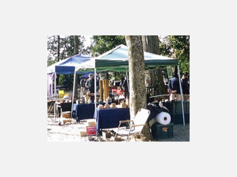 学園都市一ノ矢八坂神社骨董市
