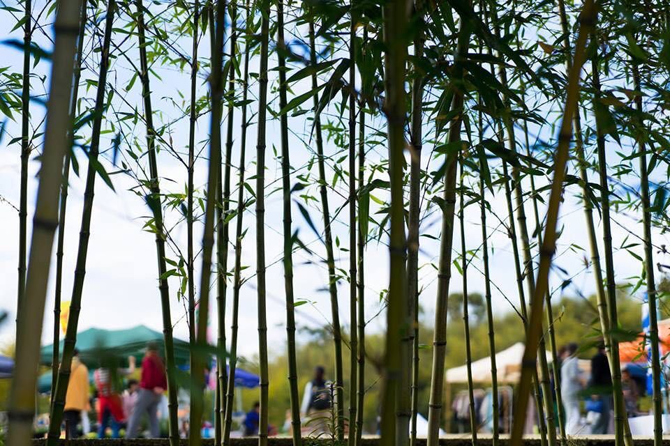 第2回高山こもれび市