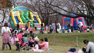狭山市智光山公園まつり
