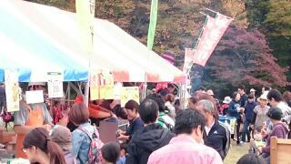 狭山市智光山公園まつり