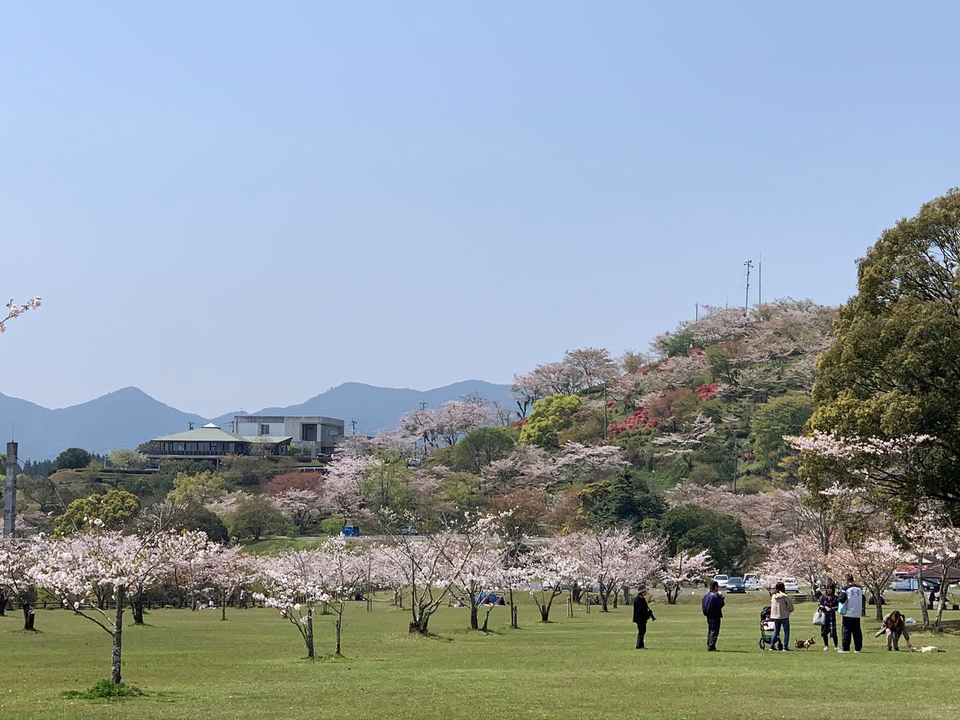 .さくらフリーマーケット