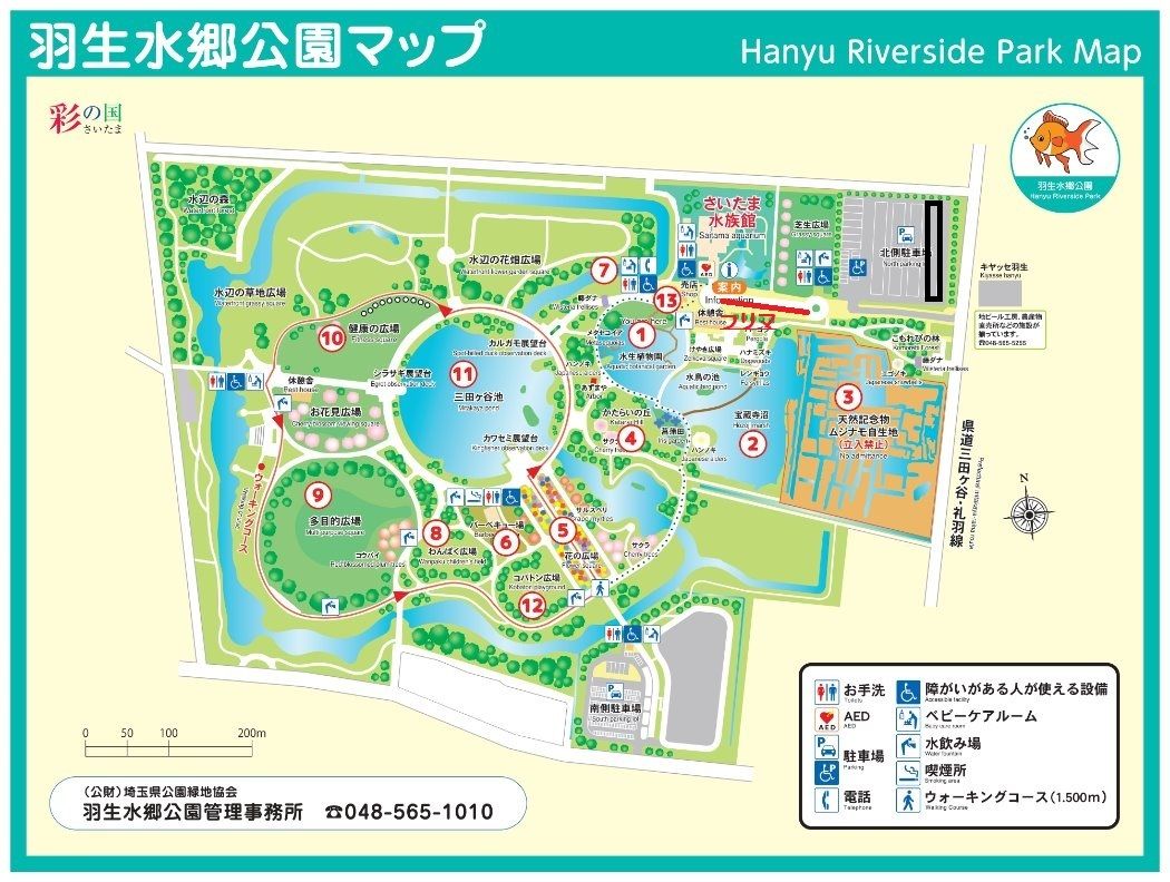 羽生　さいたま水族館まつり