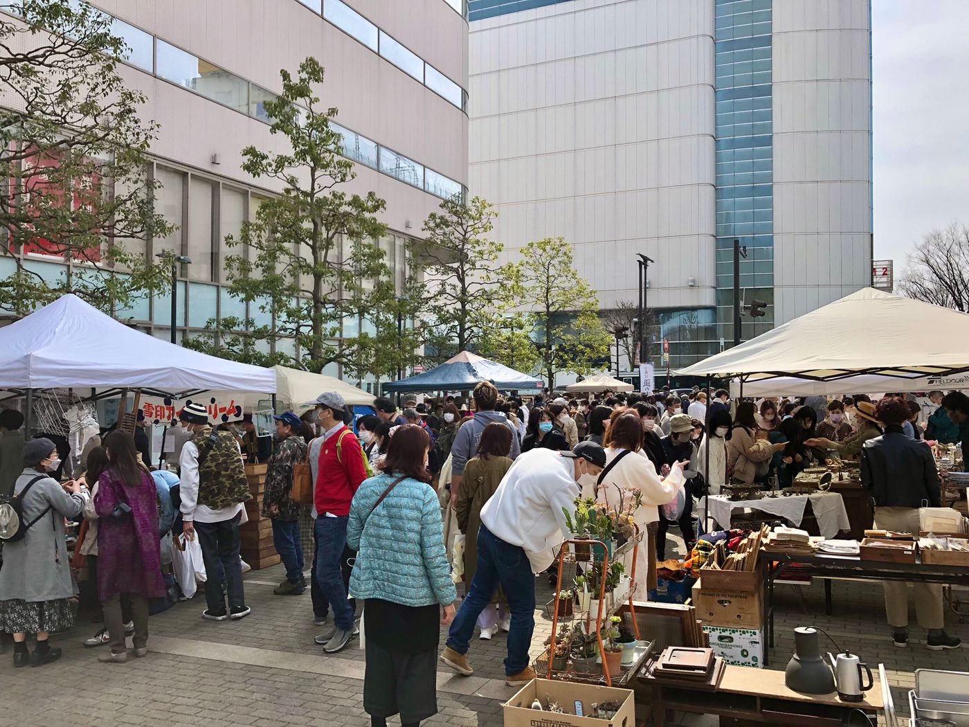 第九回宇都宮蚤の市