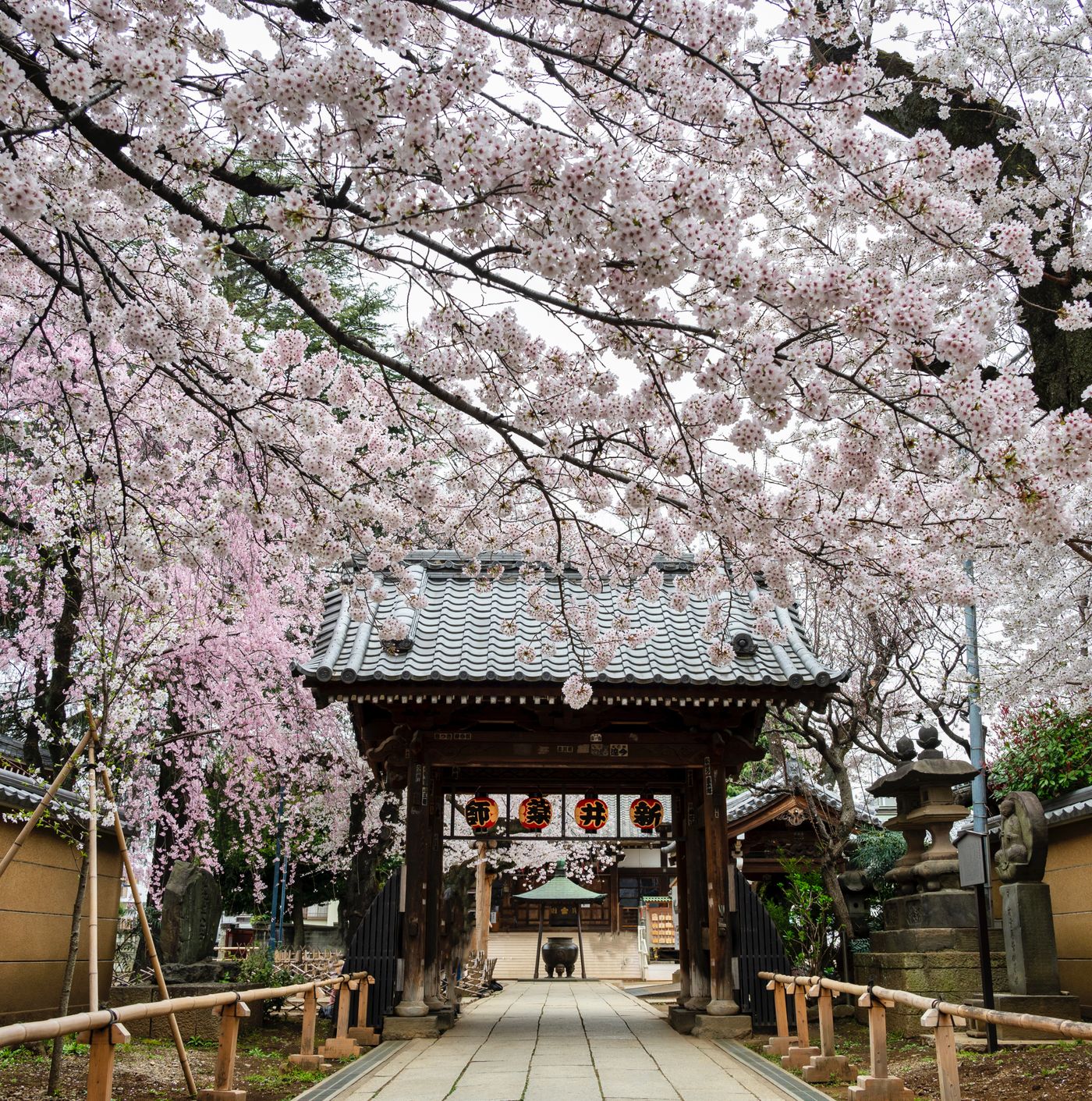【骨董市】新井薬師骨董市 中野区