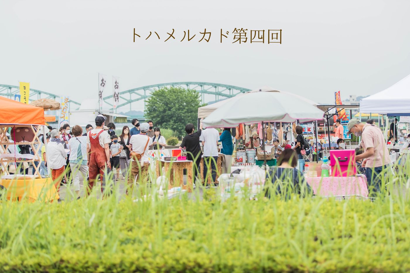 トハメルカド第五回
