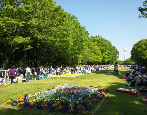 ☆所沢市『所沢航空記念公園』フリーマーケット