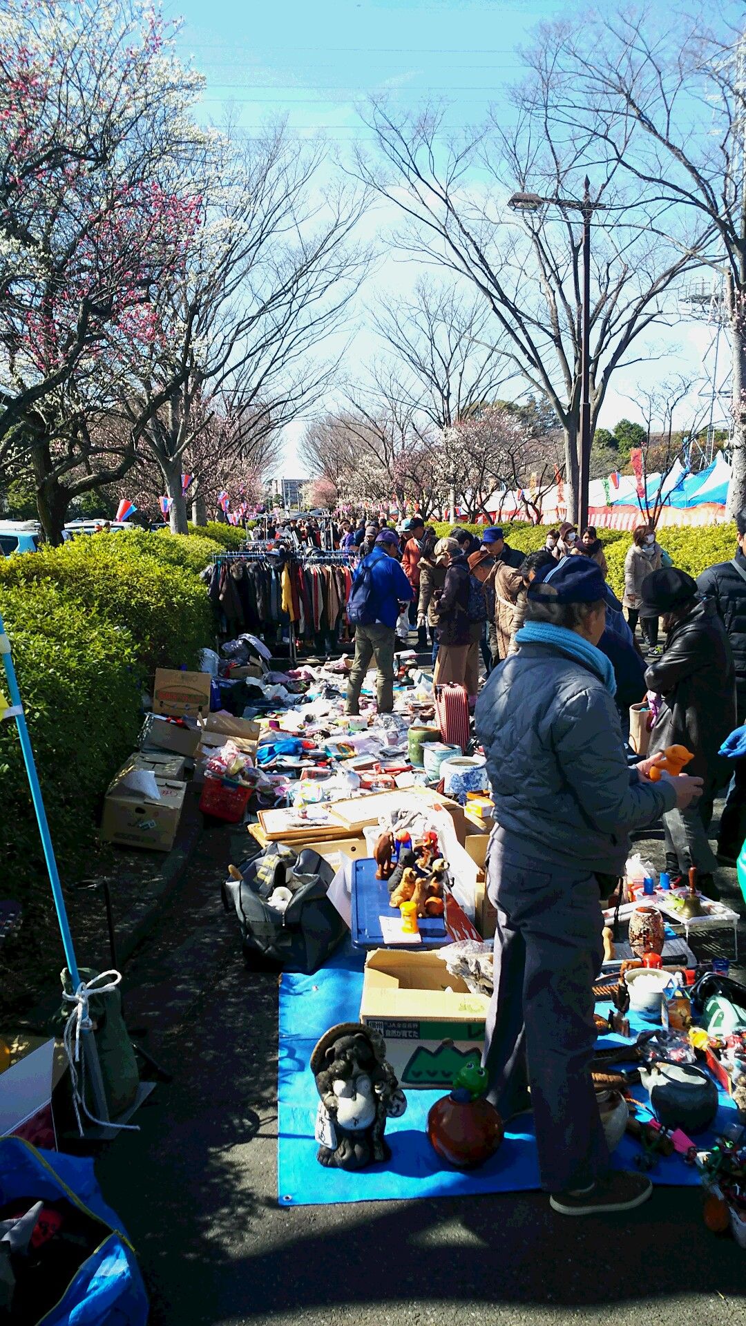 ☆さいたま市『大宮第二公園　梅まつり』同時開催フリマ