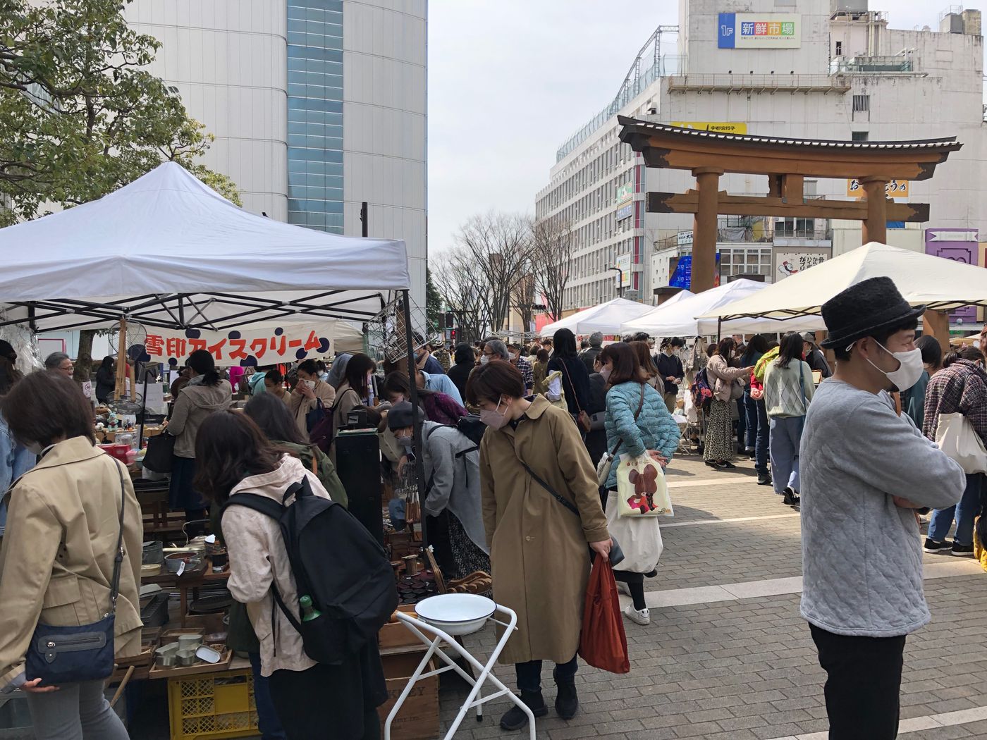 第十一回宇都宮蚤の市