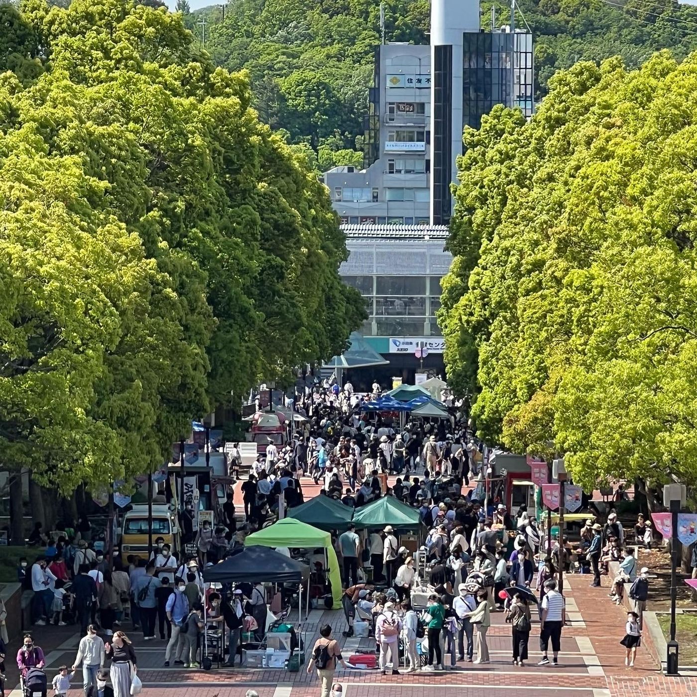 パルテノン大通り スプリングフェスタ