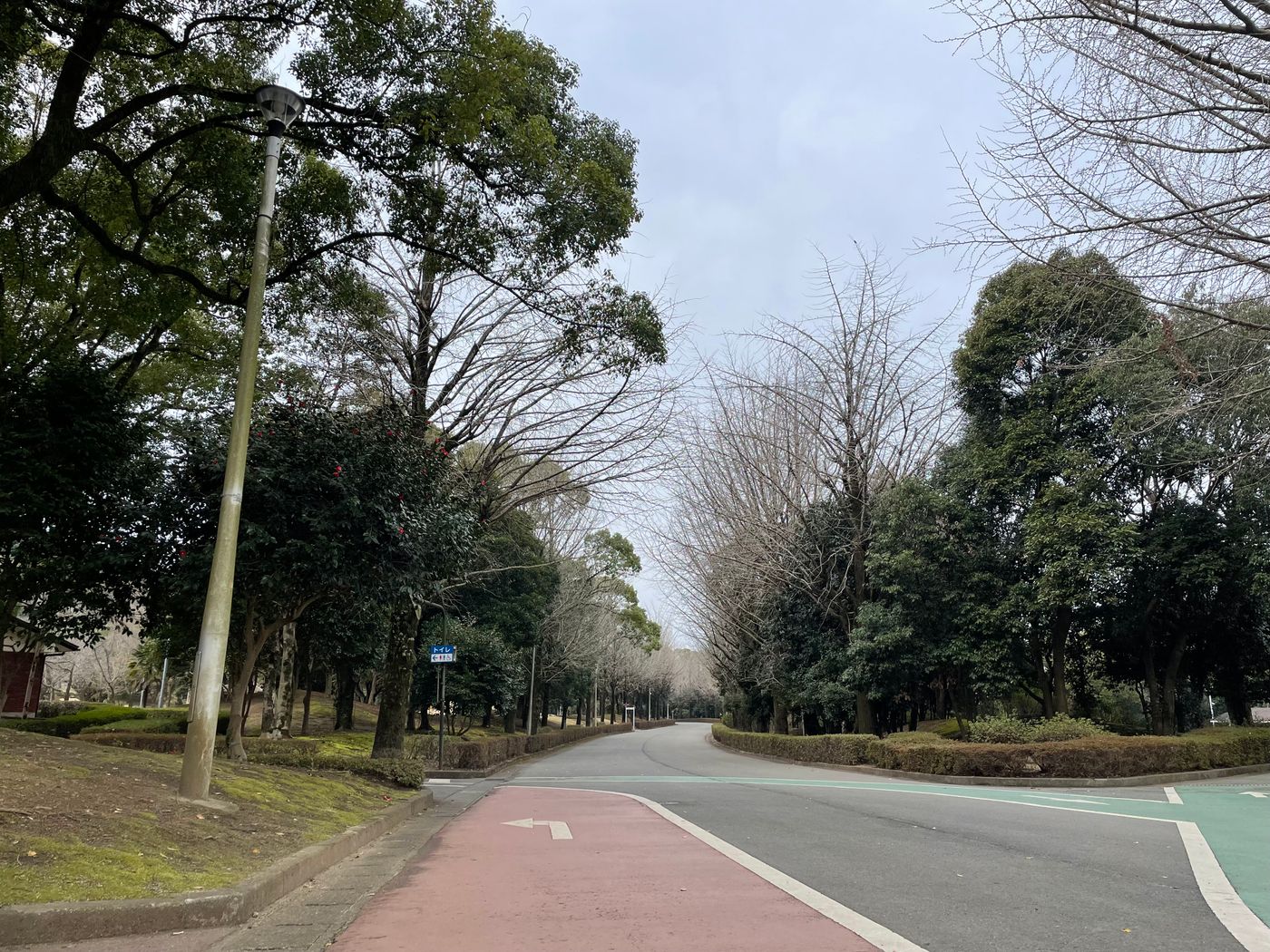 熊本県民総合運動公園フリーマーケット
