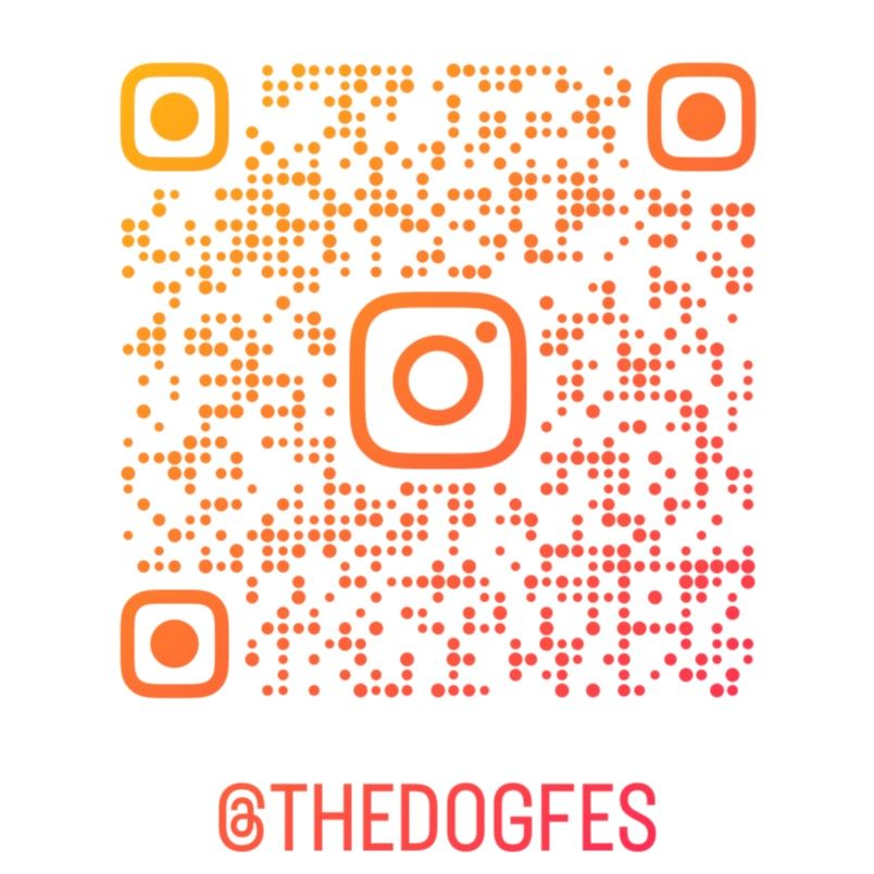 THE DOG FES 　DOG　NIGHT　MARKET 犬のナイトマーケット