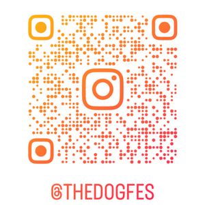 THE DOG FES 　DOG　NIGHT　MARKET 犬のナイトマーケット