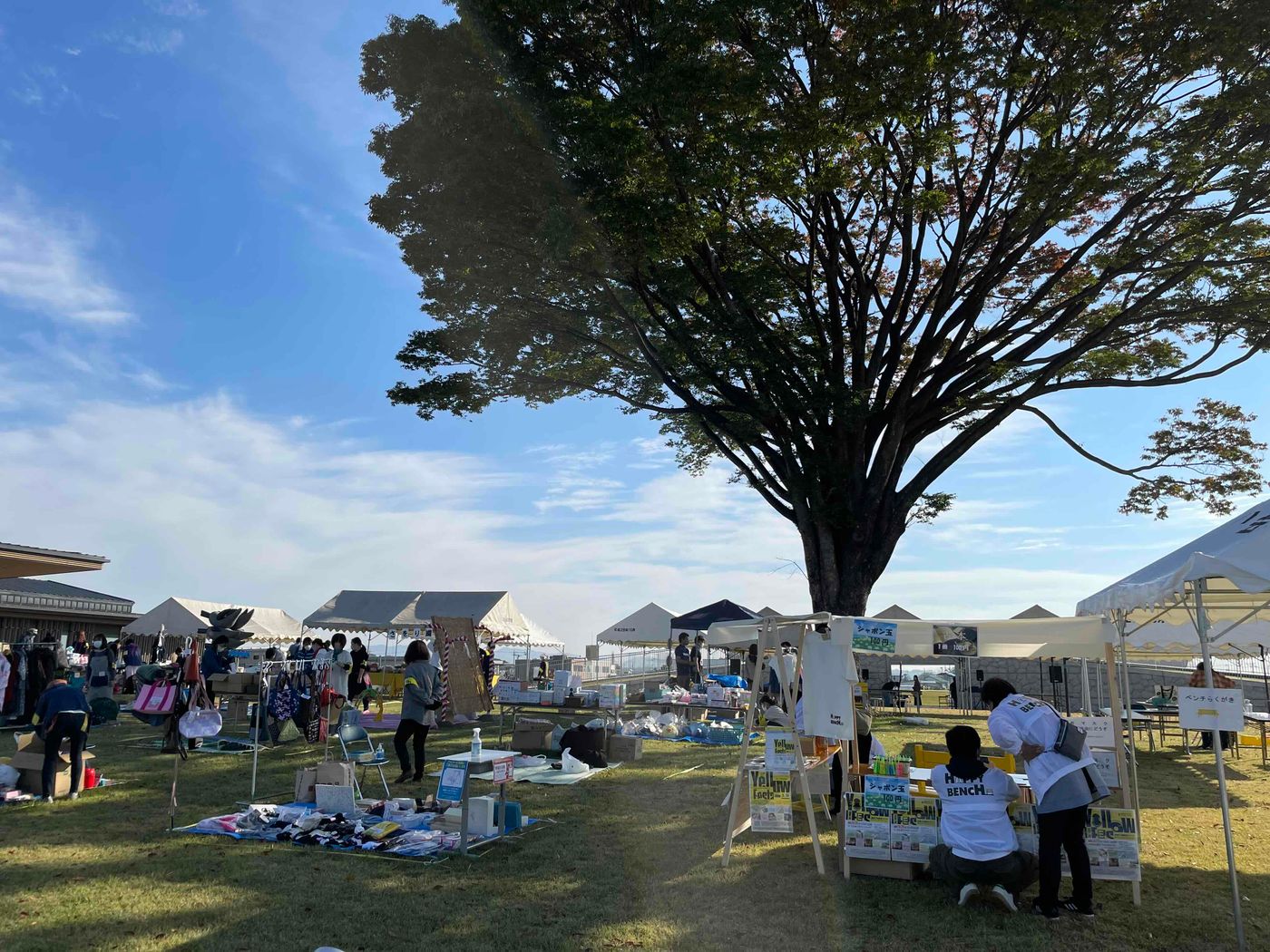 YellowFesta in Asoka