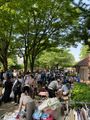 ◎世田谷公園フリーマーケット◎
