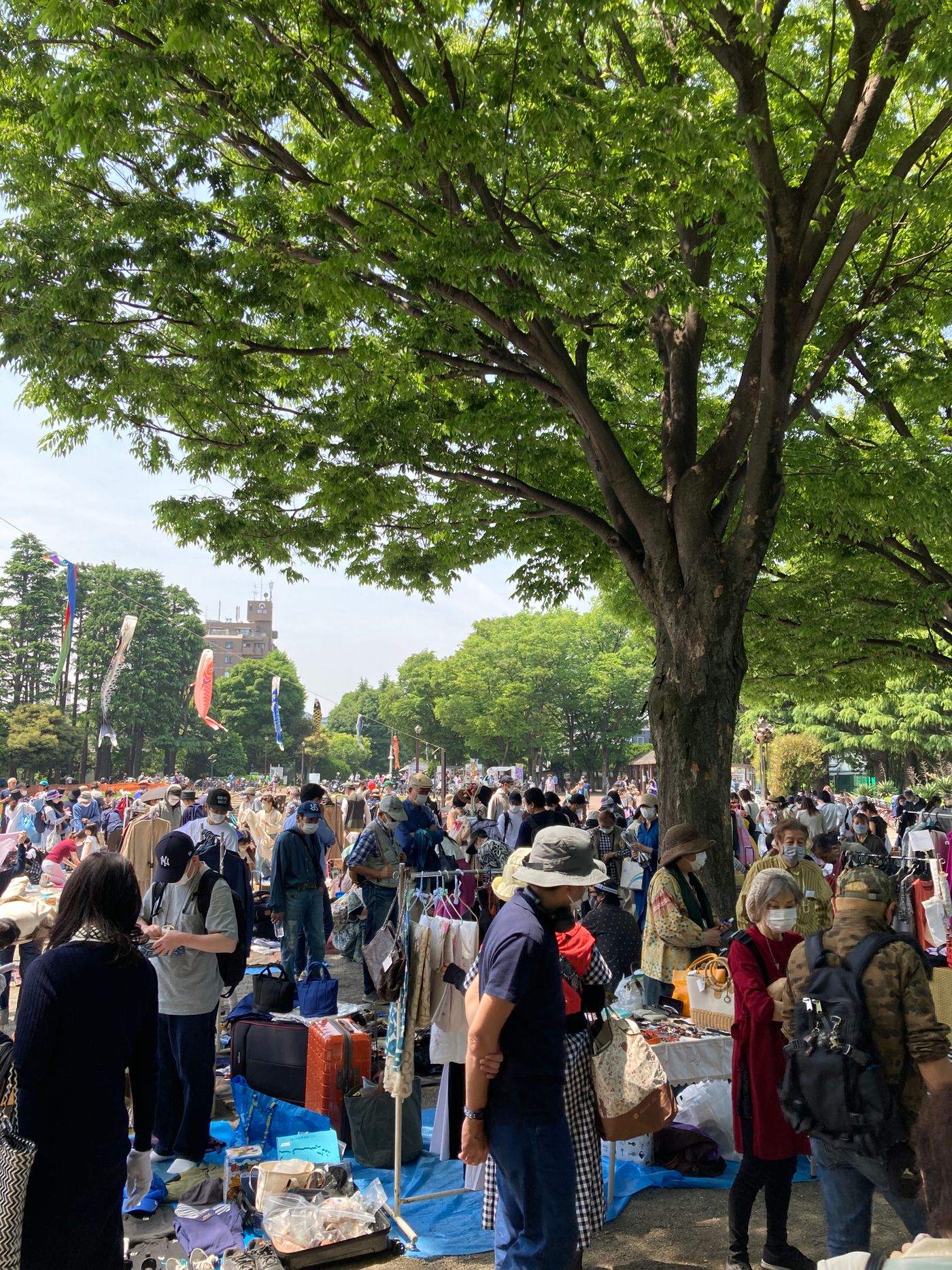 ◎世田谷公園フリーマーケット◎
