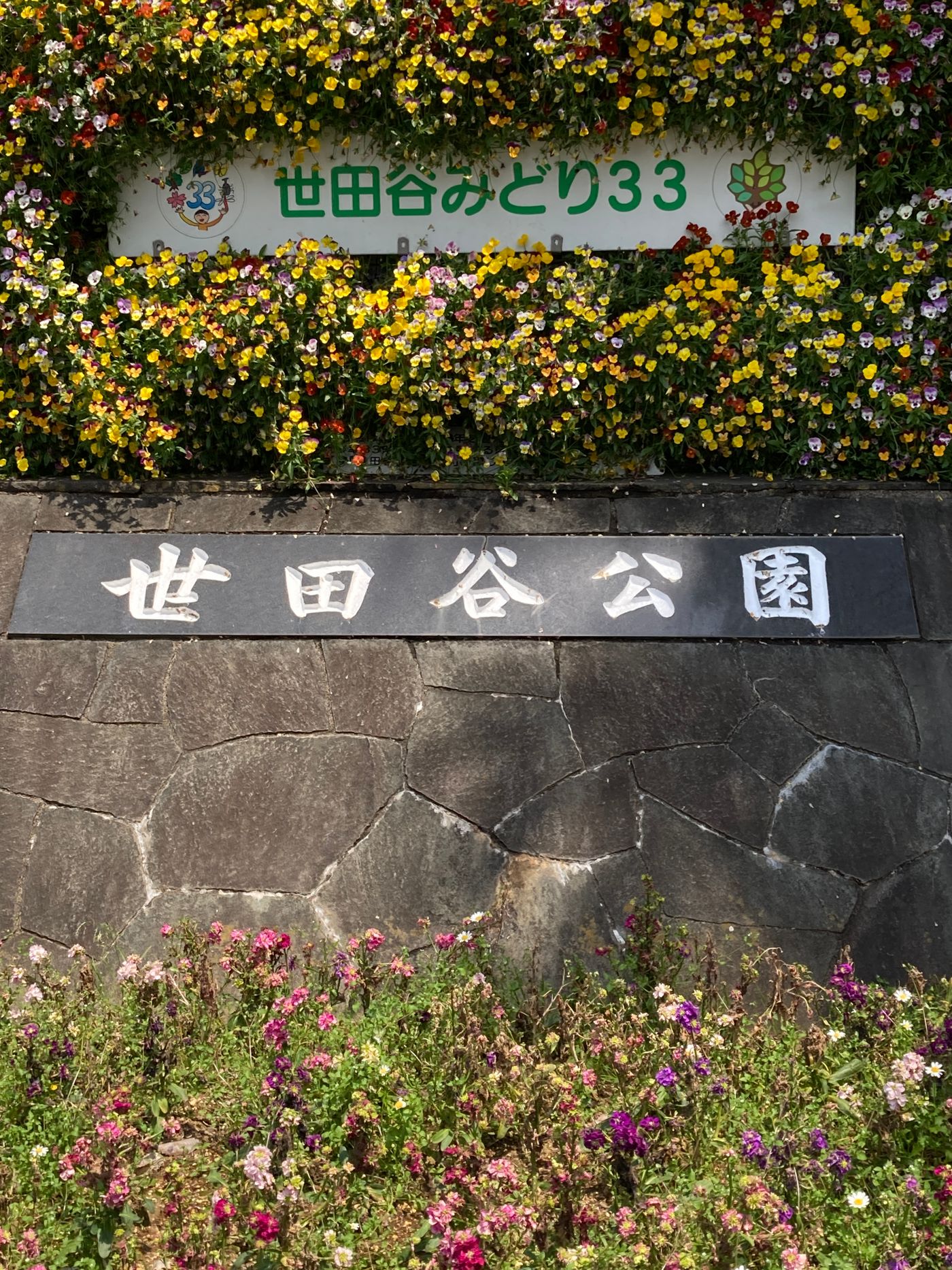 ◎世田谷公園フリーマーケット◎