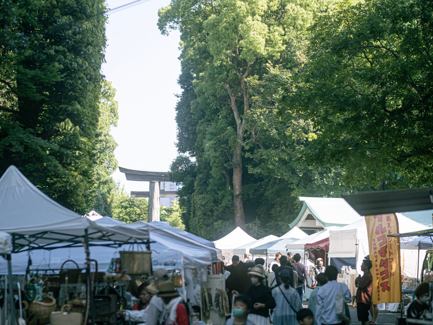 護国神社　蚤の市