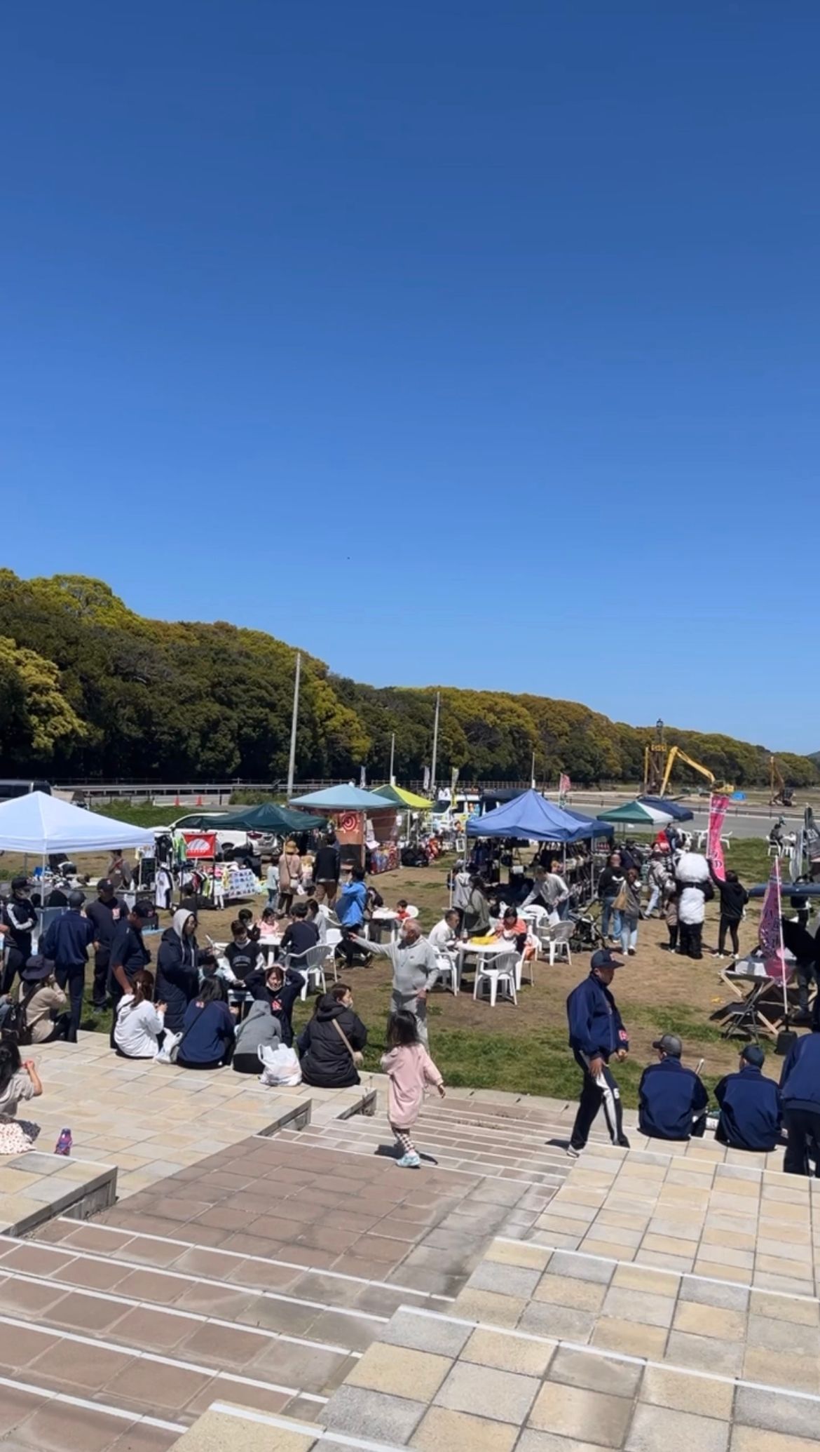 デニシェマーケット
