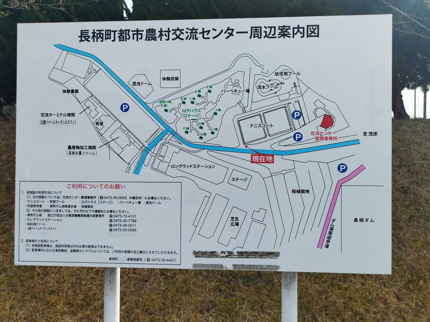 金曜フリマ骨董市 in 長柄ダム