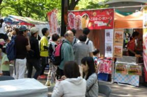 【　原宿 代々木公園 並木通り　】