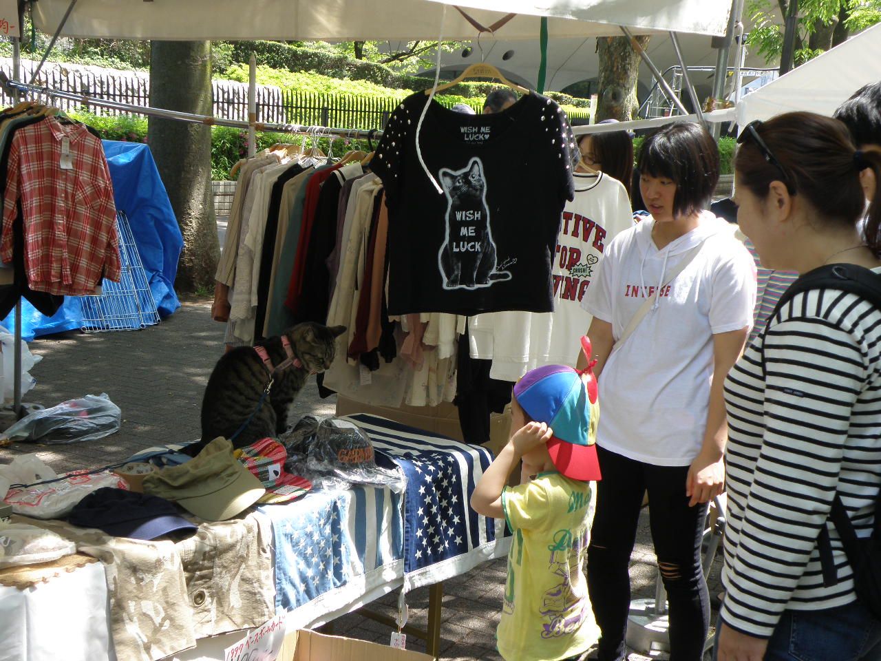 【　原宿 代々木公園 並木通り　】