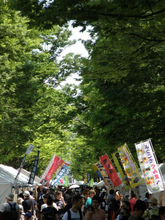 【　原宿 代々木公園 並木通り　】