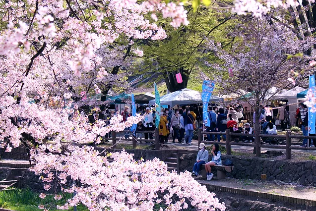 第6回 若泉公園春まつり＆本庄クラフトアートフェア