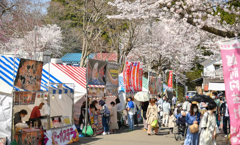 第１４回 越前陶芸村しだれ桜まつり　BLOSSOM FES