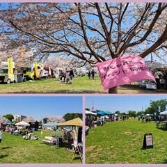 おしゃれ市場 in 白井総合公園