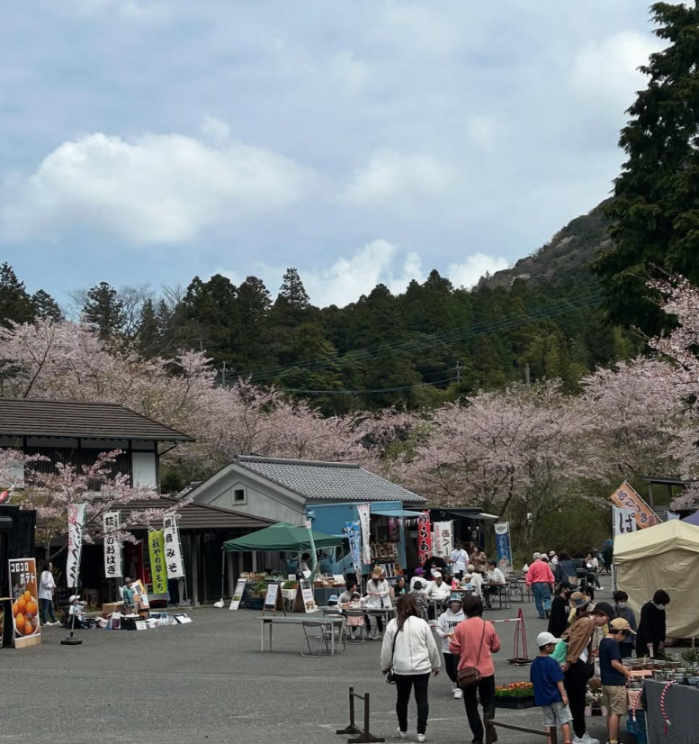 春の観音市