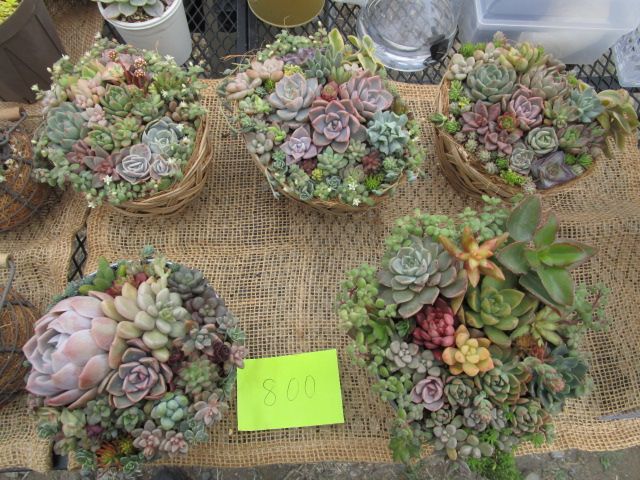 ■■フリーマーケット野木■■リサイクルショップみやま