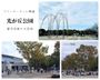 光が丘公園　フリマ