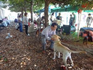 第21回　エコロジーマーケット環ッハッハinよしじま
