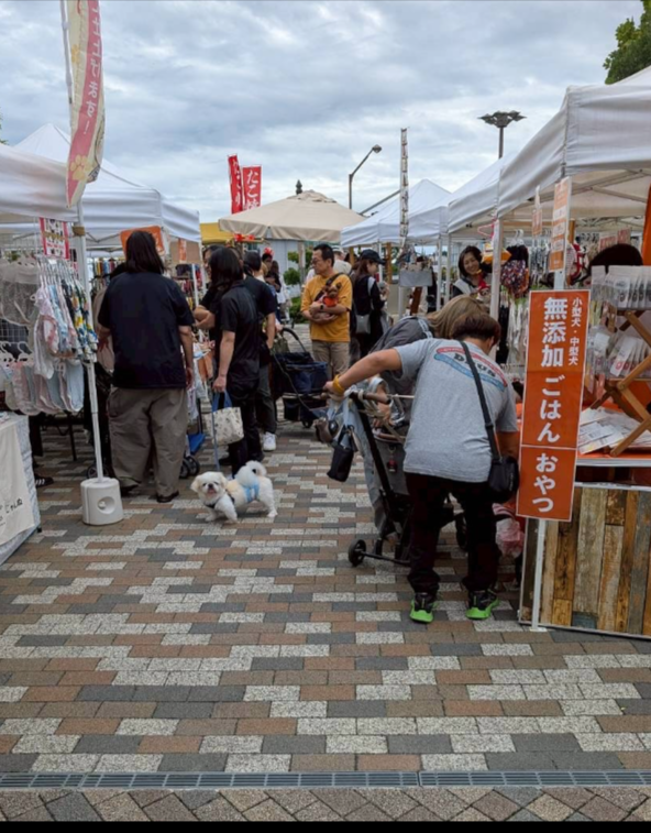'Amo わん FESTA in ブランチ松井山手