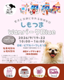 しもつまWanパークBlue