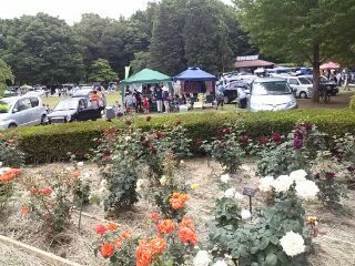 智光山(ちこうざん)植物園バラフェスタ