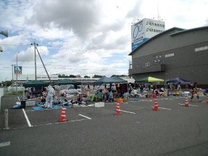 第6回コスモスフリーマーケット開催!