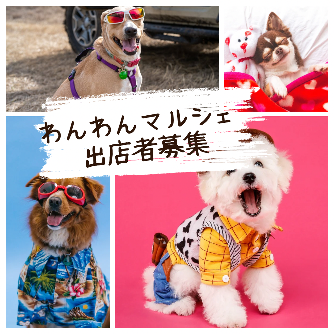 25.08わんわんマルシェ
