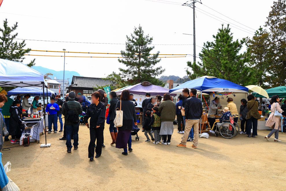 豆まめ市場2026