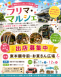 【東本願寺前・お東さん広場】フリーマーケット・マルシェイベント　福猫コラボ企画