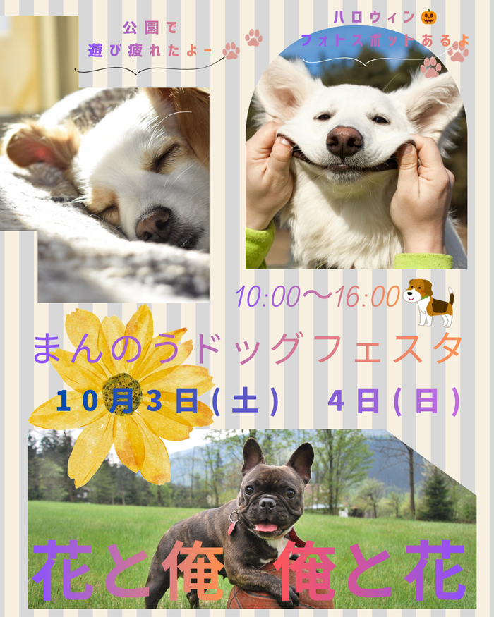 まんのう手作りフェス