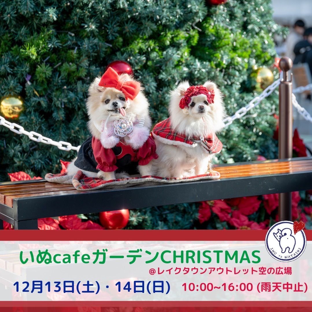 いぬcafeガーデンCHRISTMAS