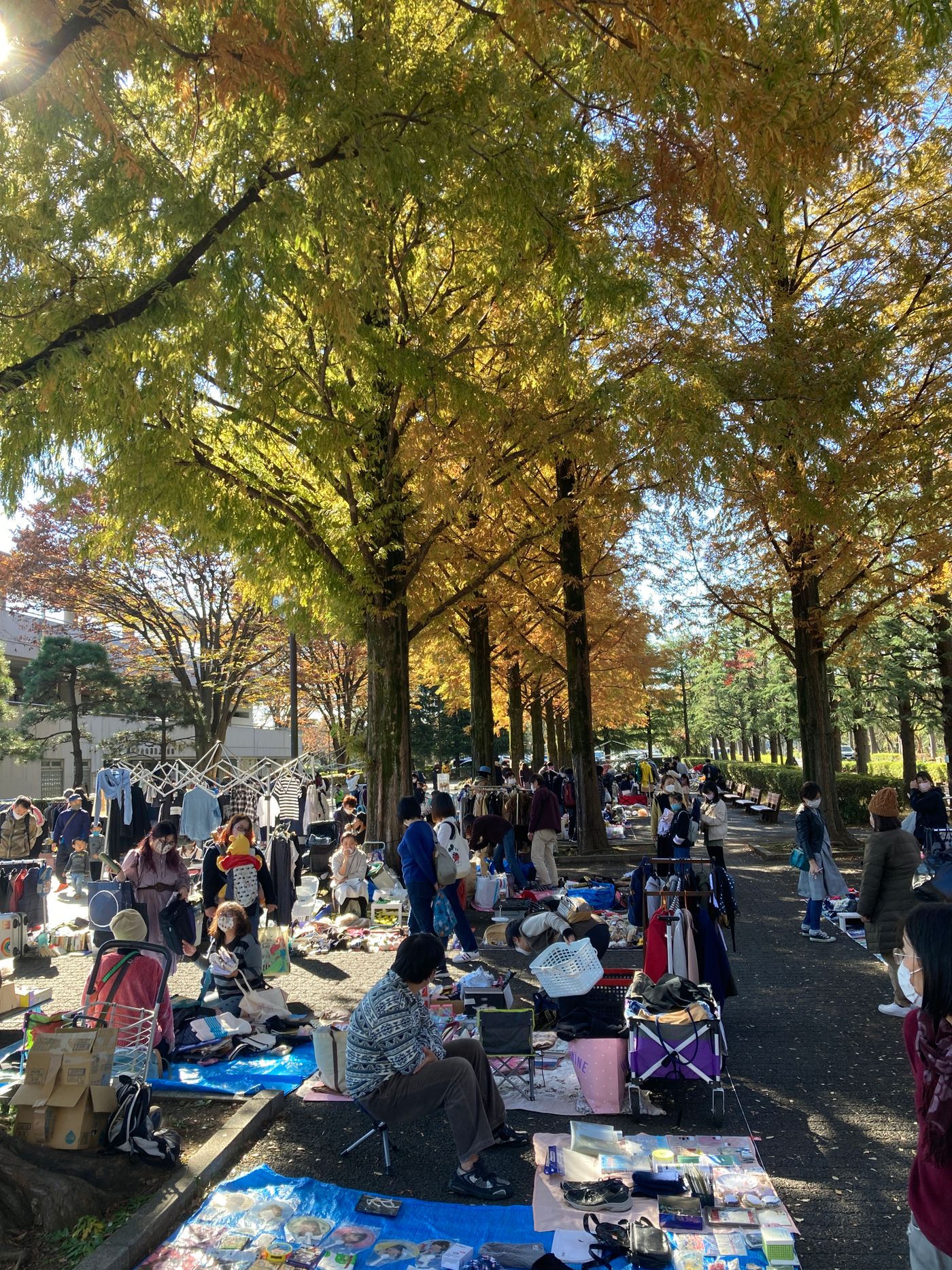 ★「朝霞中央公園」★