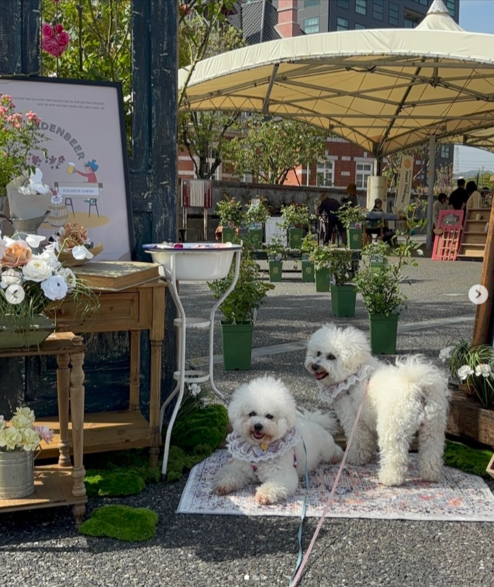 ROSARIANMAKE MARCHE 2026  in MOJIKO