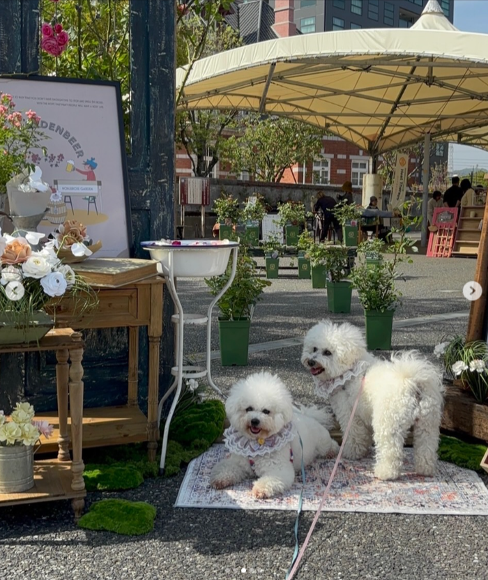 ROSARIANMAKE MARCHE 2026  in MOJIKO