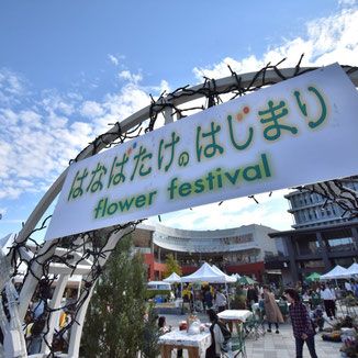 はなばたけのはじまり